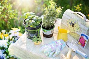 3 summer time projects to make your garden more interesting