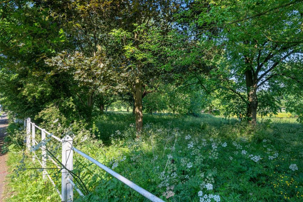 KNAVESMIRE