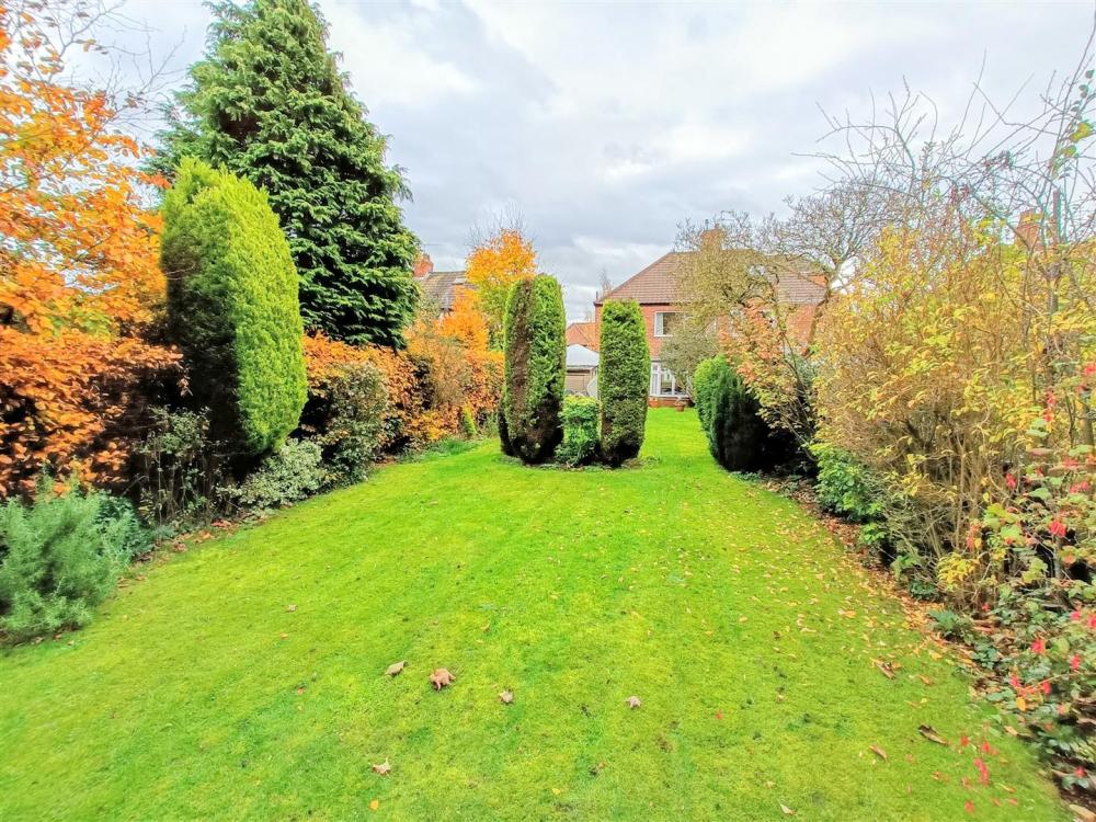 GARDEN