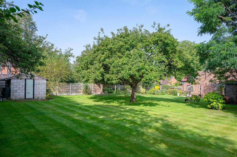 GARDEN