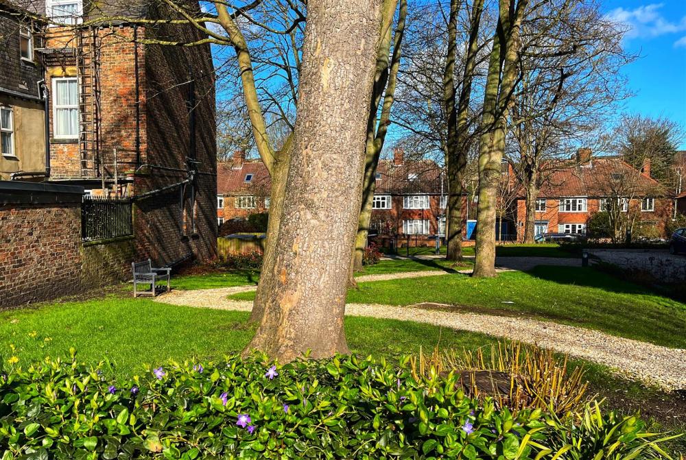 COMMUNAL GARDENS