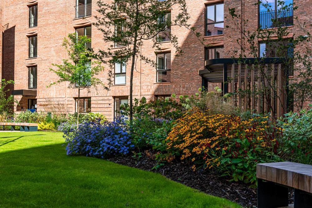 Communal Gardens