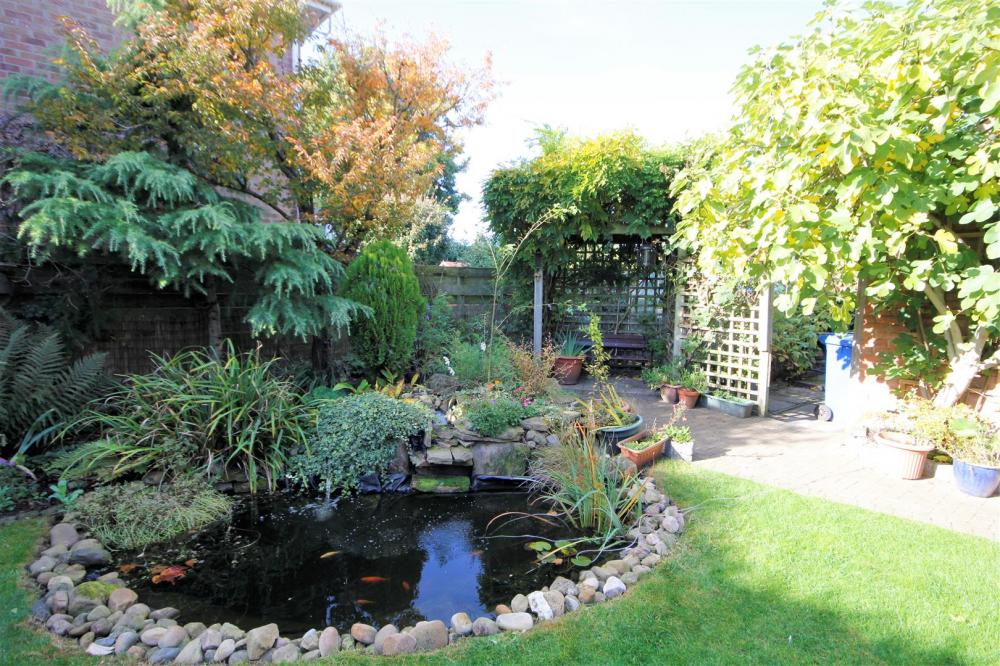 Pond